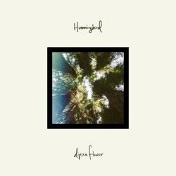 Hummingbird Chords by Dipsea Flower