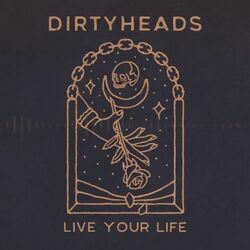 Live Your Life by Dirty Heads