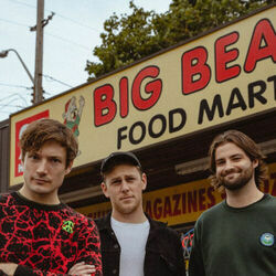 Bye Bye Big Bear Chords by The Dirty Nil