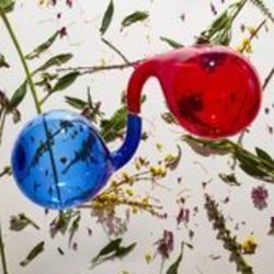 What Is The Time by Dirty Projectors