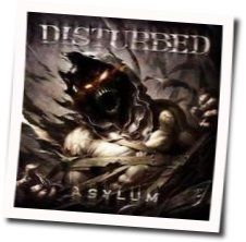 Pain Redefined Tabs by Disturbed