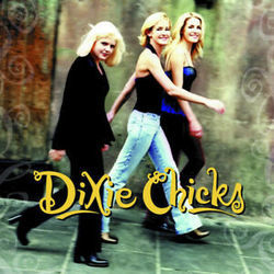 Never Say Die by Dixie Chicks