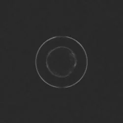 In The Blood Tab by Dizzy Mizz Lizzy