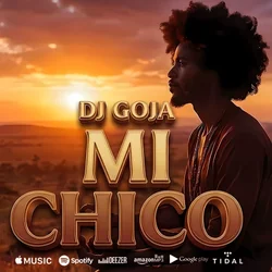 Mi Chico Chords by Dj Goja