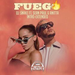 Fuego Chords by DJ Snake