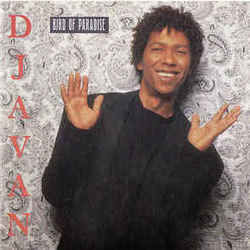 Miss Susanna Chords by Djavan