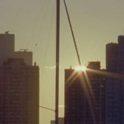 T. Rex Is Loud Chords by Djo