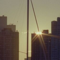 T. Rex Is Loud Chords by Djo