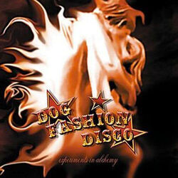 Satanic Cowboy Chords by Dog Fashion Disco