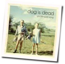 Glockenspiel Song Tab by Dog Is Dead