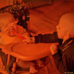 Doglantic chords for Bridges and you dyed your hair