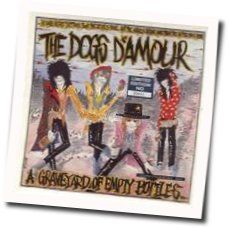 All Or Nothing Chords by The Dogs Damour