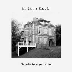 The Glassblower Chords by Peter Doherty