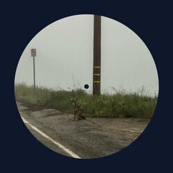 Thickrick Chords by Dominic Fike
