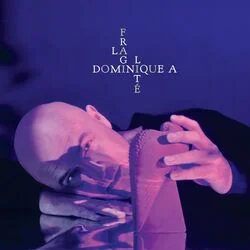 Le Temps Qui Passe Sans Moi Chords by Dominique A