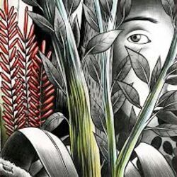 Quelques Lumières Chords by Dominique A