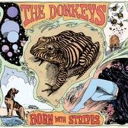 I Like The Way You Walk Chords by The Donkeys