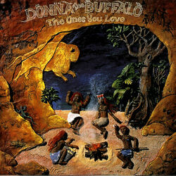 If You Only Could Chords by Donna The Buffalo