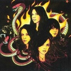 Gold Medal Bass tabs by The Donnas