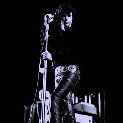 The Wasp Bass tabs by The Doors
