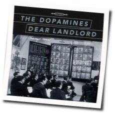 Heads Up Dusters by The Dopamines