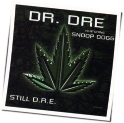 Still Dre Bass Tab by Dr Dre