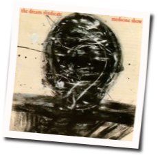 Medicine Show Chords by The Dream Syndicate