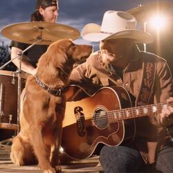The Truck Chords by Drew Parker