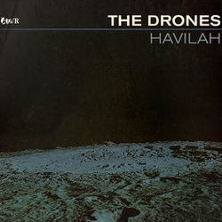 Nail It Down by The Drones