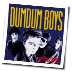 Splitter Pine Chords by Dum Dum Boys