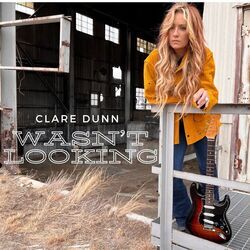 Wwasn't Looking by Clare Dunn