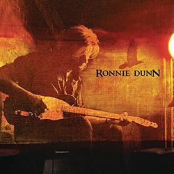 Last Love I'm Trying by Ronnie Dunn