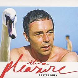 Pleasure Chords by Baxter Dury