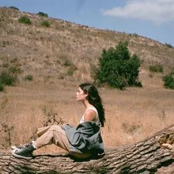A Little Like You Chords by Dylan Conrique
