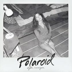 Polaroid by Dylan Conrique