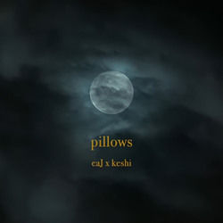 Pillows by Eaj