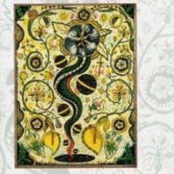 Hurtin Me Hurtin You Chords by Steve Earle