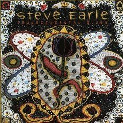 The Galway Girl by Steve Earle