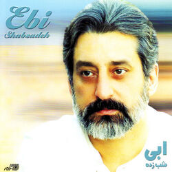 Shabzadeh by Ebi