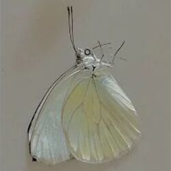 Stranger In You by Ebril (Canada)