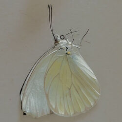 Stranger In You by Ebril