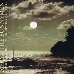 Morning Sun Chords by Echo & The Bunnymen