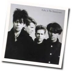 Ripeness Bass Tab by Echo & The Bunnymen