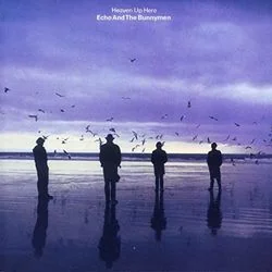 Turquoise Days Bass Tab by Echo & The Bunnymen