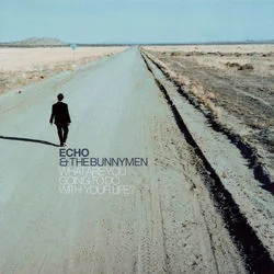 What Are You Going To Do With Your Life Chords by Echo & The Bunnymen