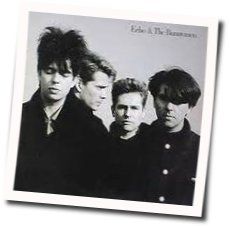 A Promise Bass Tab by Echo & The Bunnymen