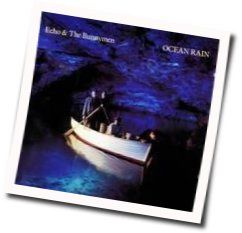 All I Want Bass Tab by Echo & The Bunnymen