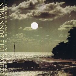 Morning Sun Chords by Echo & The Bunnymen