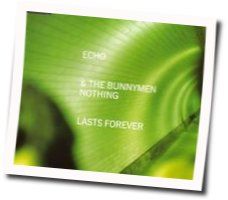 Nothing Lasts Forever by Echo & The Bunnymen