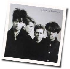 Ripeness Bass tabs by Echo & The Bunnymen